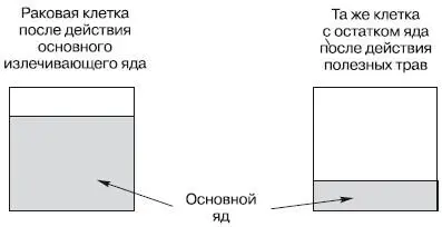 Рис 6 Уменьшение действия основного излечивающего яда на раковые клетки - фото 14