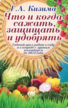 Галина Кизима Что и когда сажать, защищать и удобрять. Годовой цикл работ с лунным календарем до 2015 года обложка книги