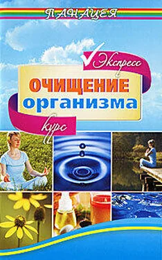 Михаил Ингерлейб Экспресс-курс очищения организма обложка книги