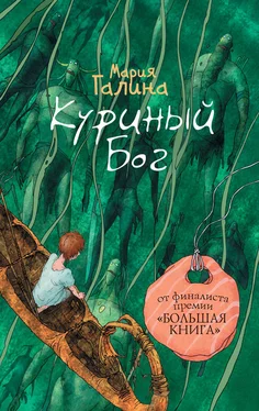 Мария Галина Куриный Бог (сборник) обложка книги