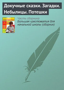 Народное творчество Докучные сказки. Загадки. Небылицы. Потешки обложка книги