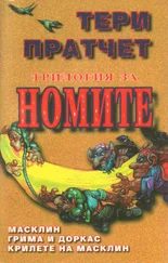 Тери Пратчет - Масклин