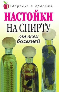 Петр Бехтерев Настойки на спирту от всех болезней обложка книги