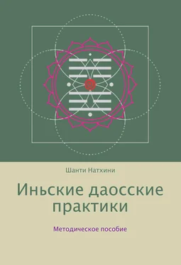 Шанти Натхини Иньские даосские практики: методическое пособие обложка книги