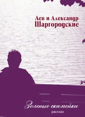 Александр Шаргородский - Зеленые скамейки