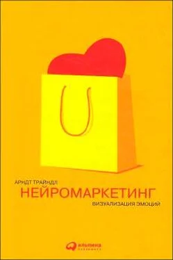 Арндт Трайндл Нейромаркетинг: Визуализация эмоций обложка книги