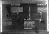 Фотоконцепция и ее цветовое решение фотографии природы зеленые и коричневые - фото 59