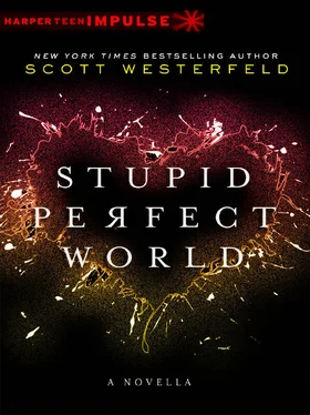 Scott Westerfeld Stupid Perfect World обложка книги