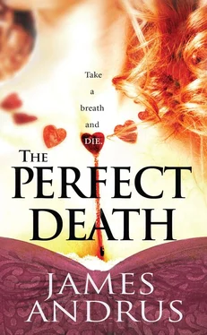 James Andrus The Perfect Death обложка книги