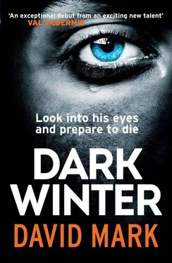 David Mark The Dark Winter обложка книги