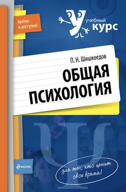 Павел Шишкоедов Общая психология обложка книги