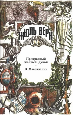 А. Москвин Вернуться к подлинному обложка книги