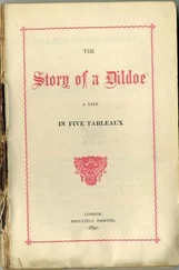 Anonymous - The story of a Dildoe