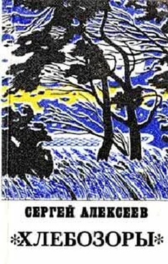 Сергей Алексеев Хлебозоры обложка книги