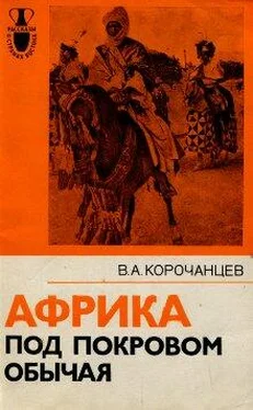 Владимир Корочанцев Африка под покровом обычая обложка книги