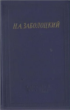 Николай Заболоцкий Стихотворения и поэмы обложка книги