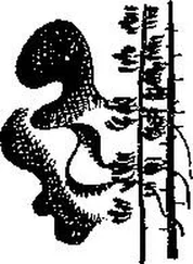 Николай Алексеев - Испытание