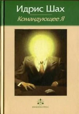 Идрис Шах Командующее Я обложка книги