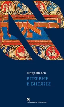 Меир Шалев Впервые в Библии обложка книги