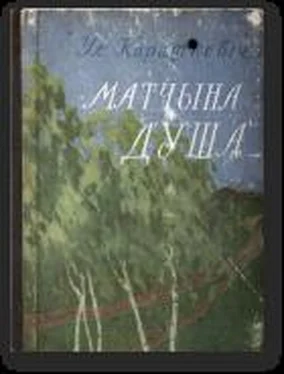 Уладзімір Караткевіч Матчына душа обложка книги