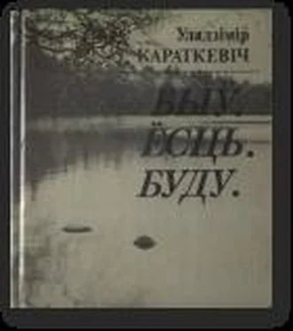 Уладзімір Караткевіч Быў. Ёсць. Буду обложка книги