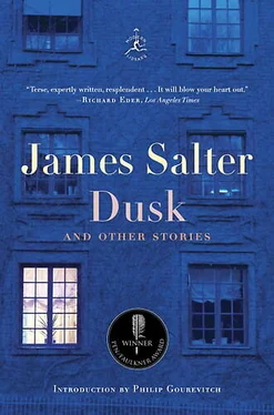 James Salter Dusk and Other Stories обложка книги