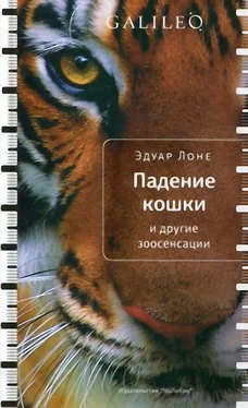 Эдуар Лоне Падение кошки и другие зоосенсации обложка книги