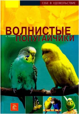 Курт Колар Волнистые попугайчики обложка книги