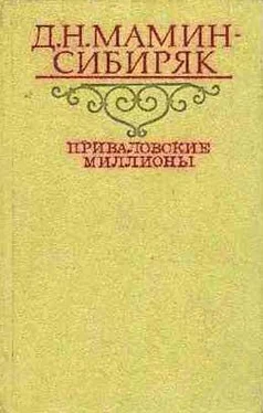 Дмитрий Мамин-Сибиряк Приваловские миллионы обложка книги