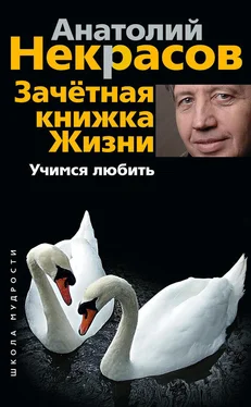 Анатолий Некрасов Зачетная книжка жизни. Учимся любить обложка книги