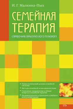 Ирина Малкина-Пых Семейная терапия обложка книги