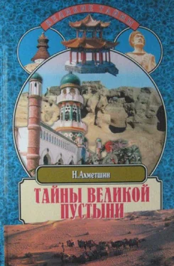 Ахметшин Наиль Тайны великой пустыни обложка книги