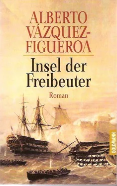 Alberto Vazquez-Figueroa Insel der Freibeuter обложка книги