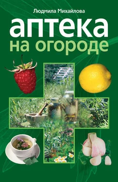 Людмила Михайлова Аптека на огороде обложка книги