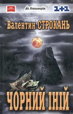 Валентин Строкань Чорний іній обложка книги