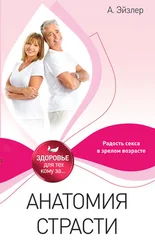 Аркадий Эйзлер - Анатомия страсти