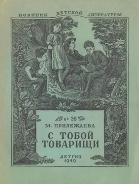 Мария Прилежаева С тобой товарищи обложка книги