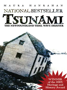 Maura Hanrahan Tsunami обложка книги