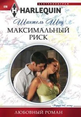 Шантель Шоу Максимальный риск обложка книги