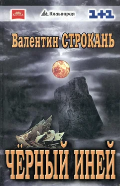 Валентин Строкань Чёрный иней обложка книги