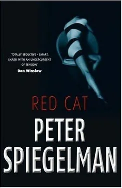 Peter Spiegelman Red Cat обложка книги
