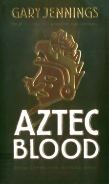 Gary Jennings Aztec Blood обложка книги