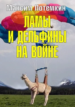 Максим Потёмкин Ламы и дельфины на войне обложка книги