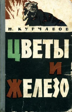 Иван Курчавов Цветы и железо обложка книги