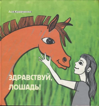 Ася Кравченко Здравствуй, лошадь! обложка книги