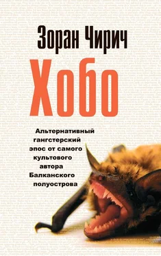 Зоран Чирич Хобо обложка книги