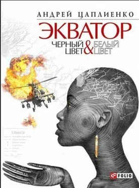 Андрей Цаплиенко Экватор. Черный цвет & Белый цвет обложка книги