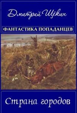 Дмитрий Щёкин Страна городов обложка книги