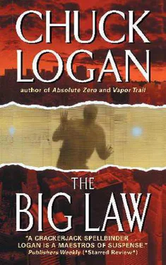 Chuck Logan The Big Law обложка книги