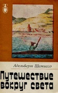 Адельберт Шамиссо Путешествие вокруг света обложка книги